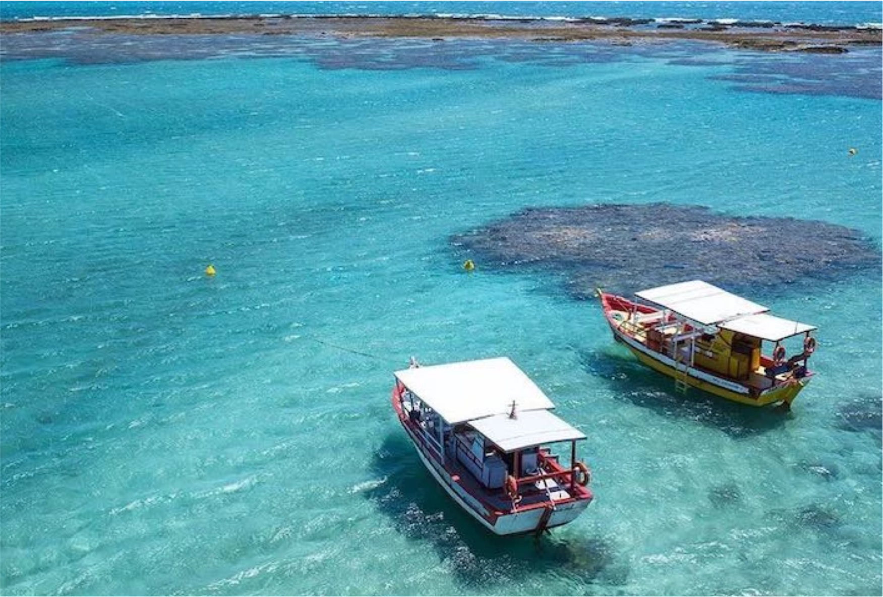 MARAGOGI4